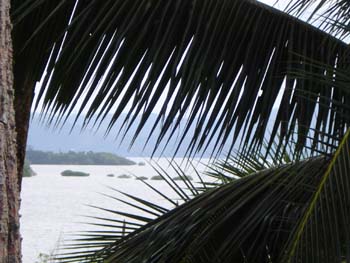Vue du terrain de 2.5 has de Bocas del Toro, Panama